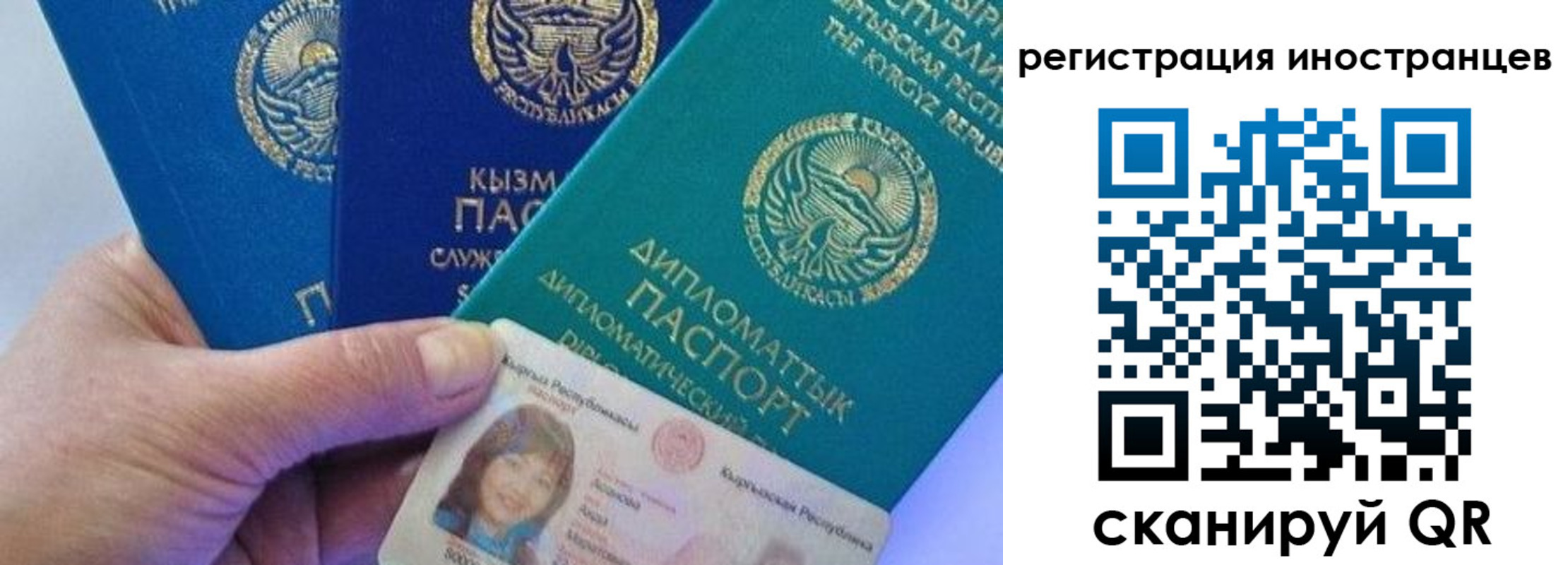 прописка в Сочи